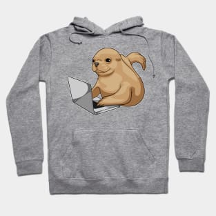 Seal Laptop Hoodie